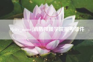 百色消防救援学院报考条件
