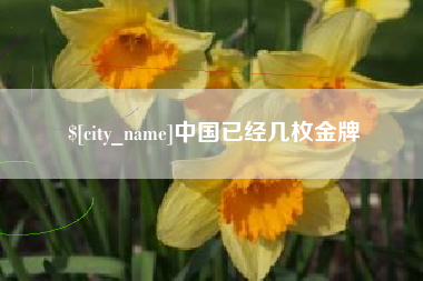百色中国已经几枚金牌