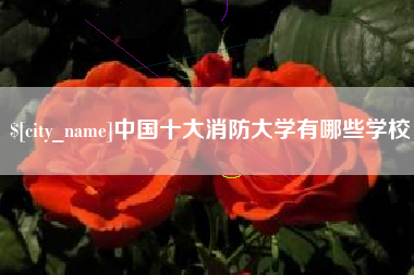 百色中国十大消防大学有哪些学校