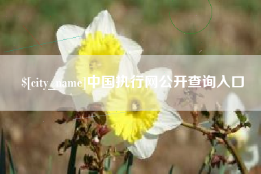 百色中国执行网公开查询入口