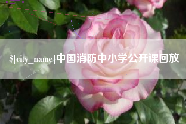 百色中国消防中小学公开课回放