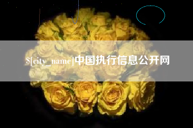 百色中国执行信息公开网