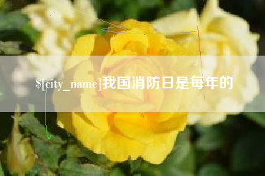 百色我国消防日是每年的