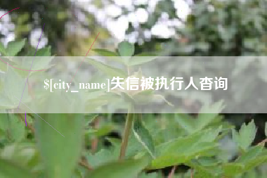 百色失信被执行人杳询