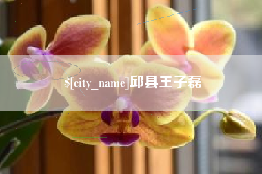 百色邱县王子磊