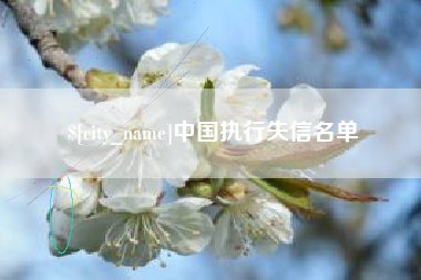 百色中国执行失信名单