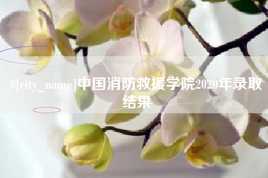 百色中国消防救援学院2020年录取结果
