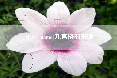 百色九宫格的来源