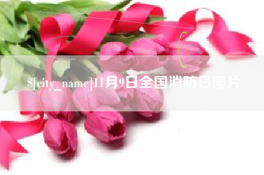 百色11月9日全国消防日图片