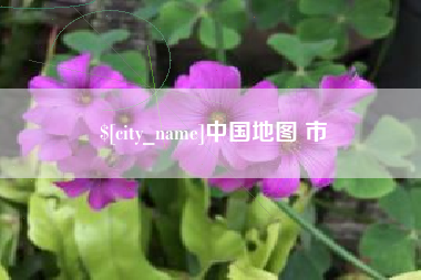 百色中国地图 市