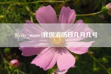 百色我国消防日几月几号