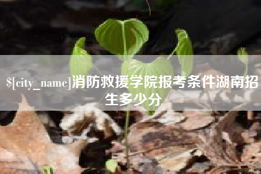 百色消防救援学院报考条件湖南招生多少分