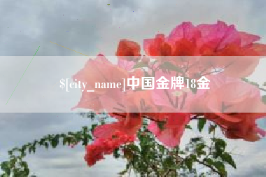 百色中国金牌18金