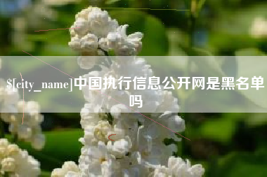 百色中国执行信息公开网是黑名单吗