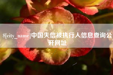 百色中国失信被执行人信息查询公开网址