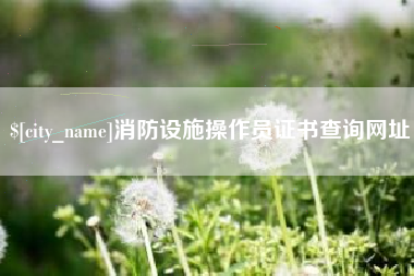 百色消防设施操作员证书查询网址