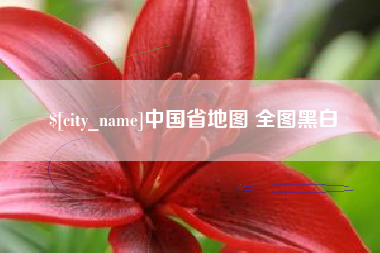 百色中国省地图 全图黑白
