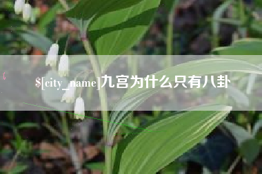 百色九宫为什么只有八卦