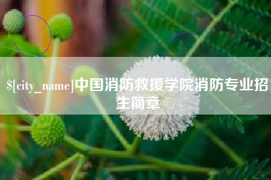 百色中国消防救援学院消防专业招生简章