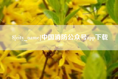 百色中国消防公众号app下载