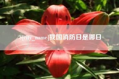 百色我国消防日是哪日