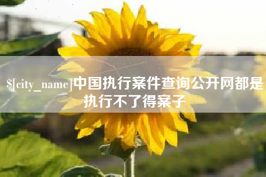 百色中国执行案件查询公开网都是执行不了得案子