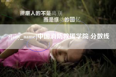 百色中国消防救援学院 分数线