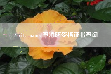 百色查消防资格证书查询