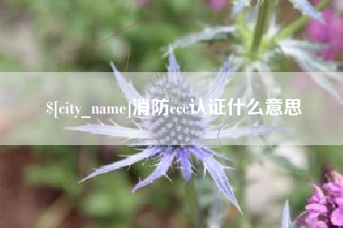 百色消防ccc认证什么意思