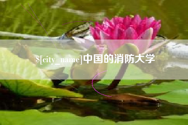 百色中国的消防大学