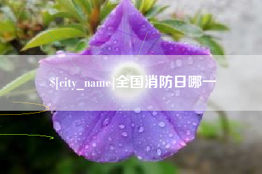 百色全国消防日哪一