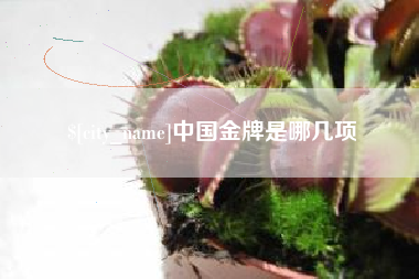 百色中国金牌是哪几项