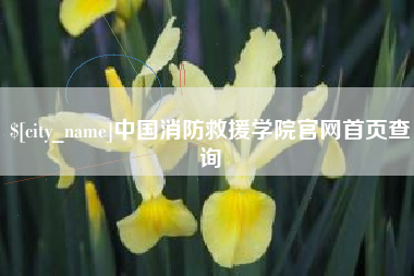 百色中国消防救援学院官网首页查询