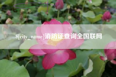 百色消防证查询全国联网