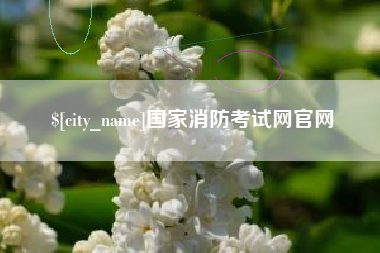 百色国家消防考试网官网