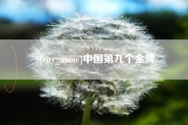 百色中国第九个金牌