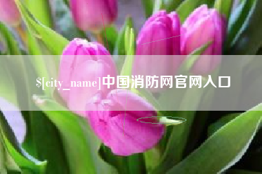 百色中国消防网官网入口