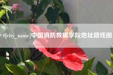 百色中国消防救援学院地址路线图