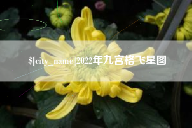百色2022年九宫格飞星图