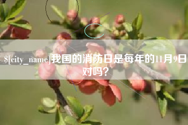 百色我国的消防日是每年的11月9日对吗？