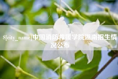 百色中国消防救援学院湖南招生情况公布