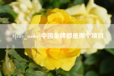 百色中国金牌都是哪个项目