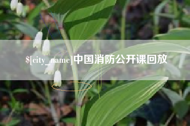 百色中国消防公开课回放