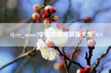 百色中国地图高清版大图2024