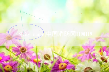 百色中国消防网1190119