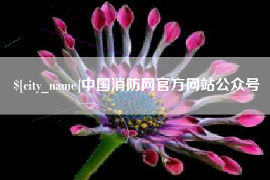 百色中国消防网官方网站公众号