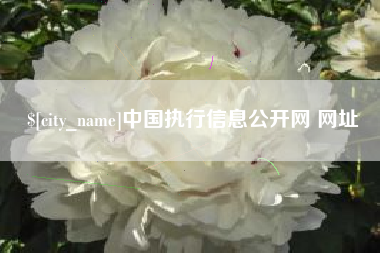 百色中国执行信息公开网 网址
