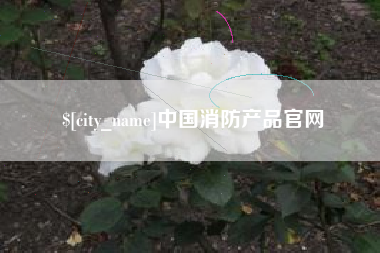 百色中国消防产品官网