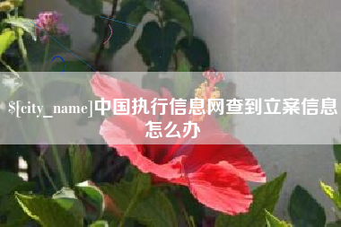 百色中国执行信息网查到立案信息怎么办