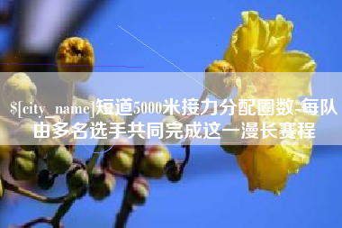 百色短道5000米接力分配圈数-每队由多名选手共同完成这一漫长赛程
